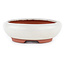 Maceta para bonsái ovalada blanco roto de Eime Yozan - 145 x 115 x 35 mm