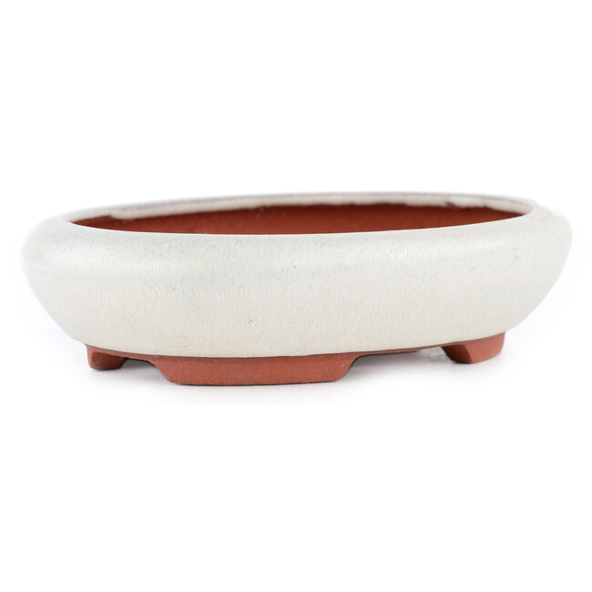 Vaso bonsai ovale bianco sporco di Eime Yozan - 145 x 115 x 35 mm