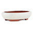 Maceta para bonsái ovalada blanco roto de Eime Yozan - 145 x 115 x 35 mm