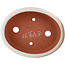 Maceta para bonsái ovalada blanco roto de Eime Yozan - 145 x 115 x 35 mm