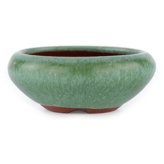 Eimei ( Yozan kiln) Maceta para bonsái verde de 85 mm de Eime Yozan, Tokoname, Japón  Eimei ( Yozan kiln) Maceta para bonsái verde de 85 mm de Eime Yozan, Tokoname, Japón