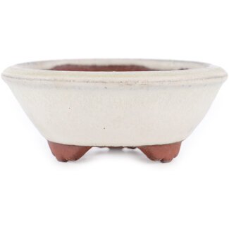  Eimei ( Yozan kiln) Pot à bonsaï blanc cassé 100 mm par Eime Yozan, Tokoname, Japon