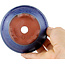 Vaso bonsai rotondo blu di Eime Yozan - 100 x 100 x 35 mm
