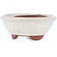 Vaso bonsai rotondo bianco sporco di Eime Yozan - 100 x 100 x 35 mm
