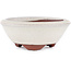 Round off-white bonsai pot by Eime Yozan - 100 x 100 x 35 mm