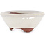 Round off-white bonsai pot by Eime Yozan - 100 x 100 x 35 mm