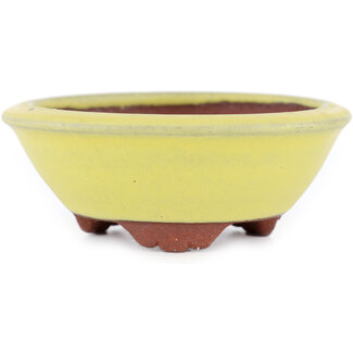  Eimei ( Yozan kiln) Pot à bonsaï jaune 100 mm par Eime Yozan, Tokoname, Japon
