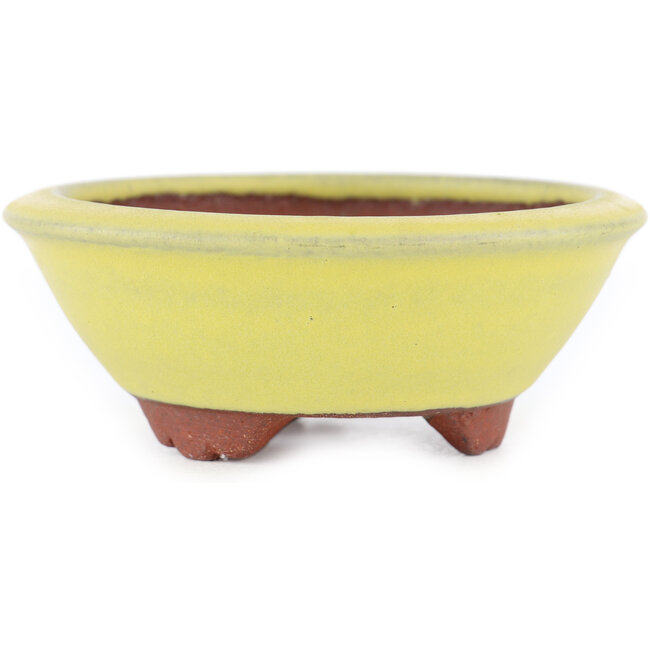Round yellow bonsai pot by Eime Yozan - 100 x 100 x 35 mm