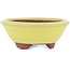Pot à bonsaï rond jaune par Eime Yozan - 100 x 100 x 35 mm