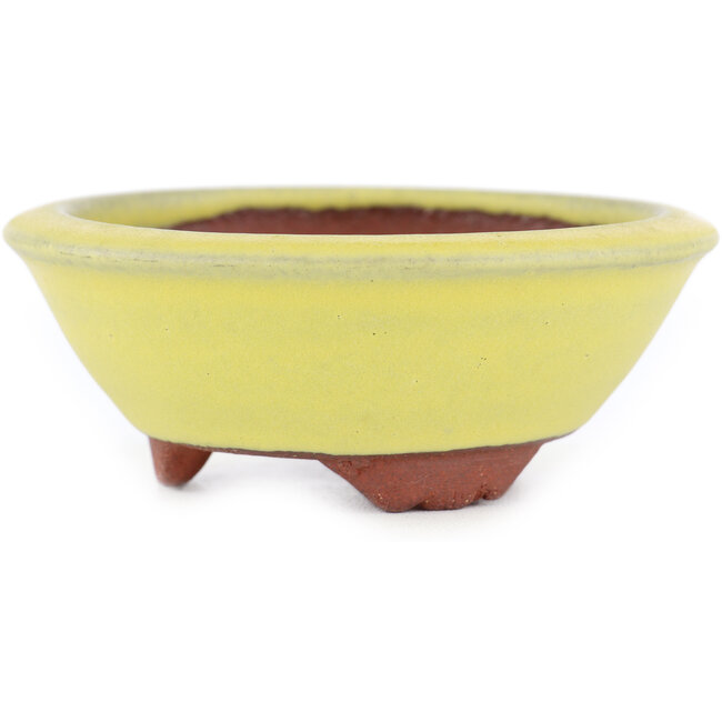 Round yellow bonsai pot by Eime Yozan - 100 x 100 x 35 mm