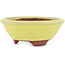 Pot à bonsaï rond jaune par Eime Yozan - 100 x 100 x 35 mm