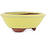 Pot à bonsaï rond jaune par Eime Yozan - 100 x 100 x 35 mm