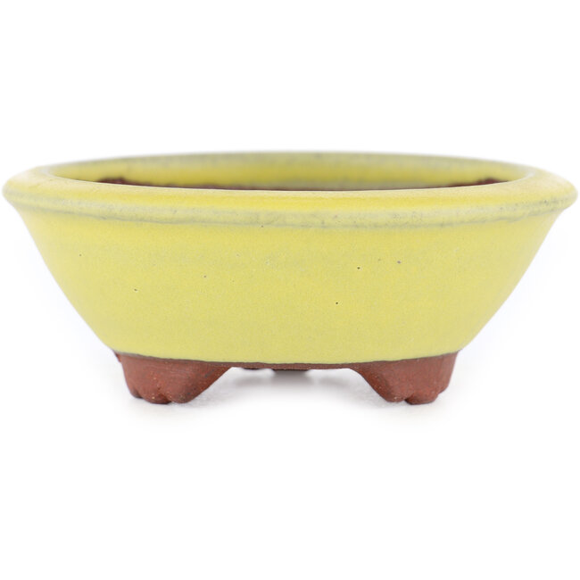 Maceta redonda para bonsái amarilla de Eime Yozan - 100 x 100 x 35 mm