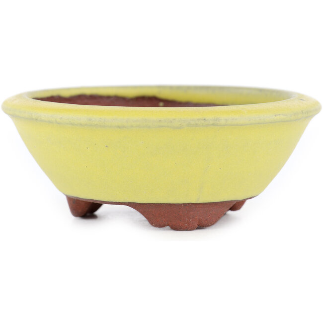 Maceta redonda para bonsái amarilla de Eime Yozan - 100 x 100 x 35 mm