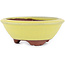 Pot à bonsaï rond jaune par Eime Yozan - 100 x 100 x 35 mm
