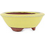 Pot à bonsaï rond jaune par Eime Yozan - 100 x 100 x 35 mm