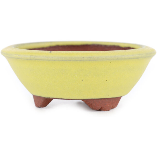 Vaso bonsai rotondo giallo di Eime Yozan - 100 x 100 x 35 mm