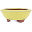 Pot à bonsaï rond jaune par Eime Yozan - 100 x 100 x 35 mm