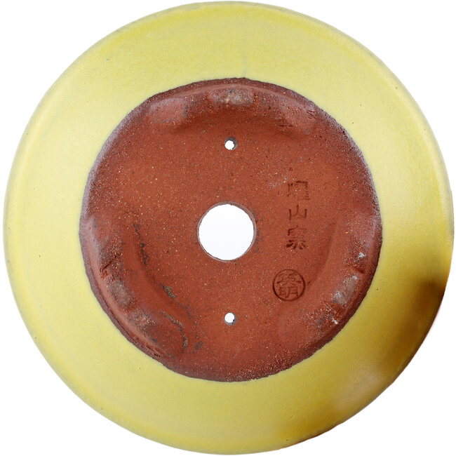 Ronde gele bonsaipot van Eime Yozan - 100 x 100 x 35 mm