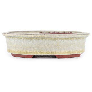  Eimei ( Yozan kiln) Beige bonsaipot van 120 mm van Eime Yozan, Tokoname, Japan