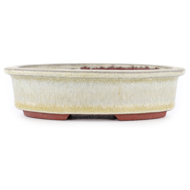 Maceta ovalada para bonsái beige de Eime Yozan - 120 x 100 x 30 mm
