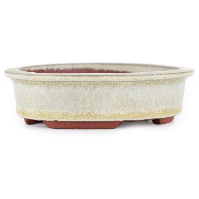 Maceta ovalada para bonsái beige de Eime Yozan - 120 x 100 x 30 mm