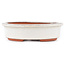 Vaso bonsai ovale bianco sporco di Eime Yozan - 120 x 100 x 30 mm