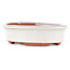 Vaso bonsai ovale bianco sporco di Eime Yozan - 120 x 100 x 30 mm