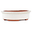 Vaso bonsai ovale bianco sporco di Eime Yozan - 120 x 100 x 30 mm