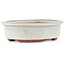 Oval off-white bonsai pot by Eime Yozan - 120 x 100 x 30 mm