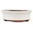 Maceta para bonsái ovalada blanco roto de Eime Yozan - 95 x 80 x 30 mm