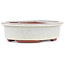 Oval off-white bonsai pot by Eime Yozan - 120 x 100 x 30 mm