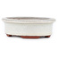 Oval off-white bonsai pot by Eime Yozan - 95 x 80 x 30 mm