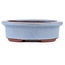 Maceta ovalada para bonsái azul de Eime Yozan - 95 x 80 x 30 mm