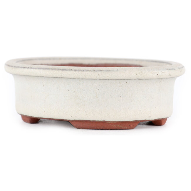 Maceta para bonsái ovalada blanco roto de Eime Yozan - 95 x 80 x 30 mm