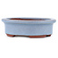 Maceta ovalada para bonsái azul de Eime Yozan - 95 x 80 x 30 mm