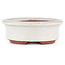 Oval off-white bonsai pot by Eime Yozan - 95 x 80 x 30 mm