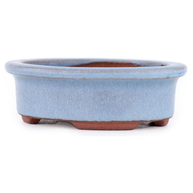 Maceta ovalada para bonsái azul de Eime Yozan - 95 x 80 x 30 mm