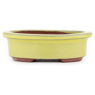  Eimei ( Yozan kiln) 95 mm  yellow bonsai pot by Eime Yozan, Tokoname, Japan
