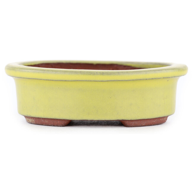 Vaso bonsai ovale giallo di Eime Yozan - 95 x 80 x 30 mm