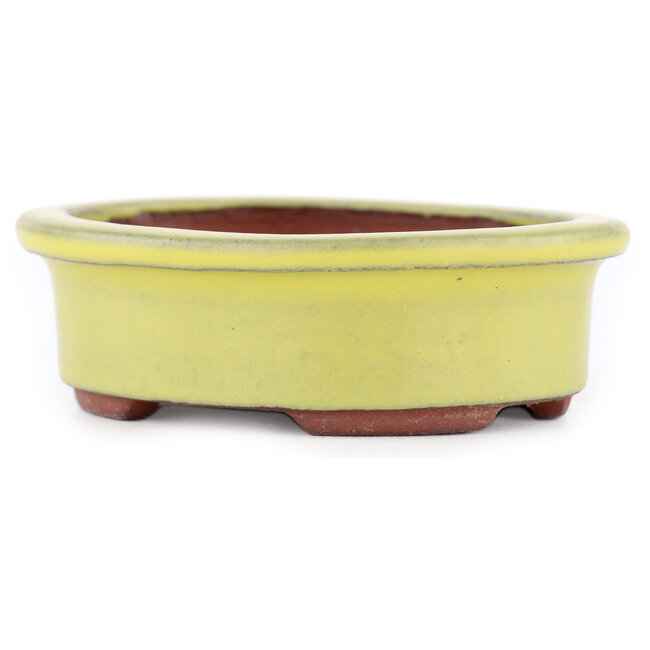 Maceta ovalada para bonsái amarilla de Eime Yozan - 95 x 80 x 30 mm
