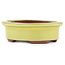 Pot à bonsaï ovale jaune par Eime Yozan - 95 x 80 x 30 mm