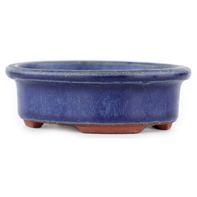 Maceta ovalada para bonsái azul de Eime Yozan - 95 x 80 x 30 mm