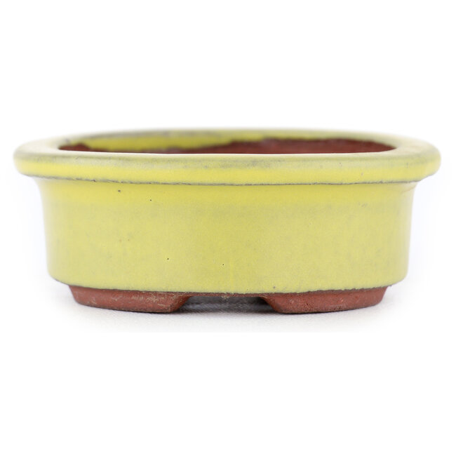 Vaso bonsai ovale giallo di Eime Yozan - 95 x 80 x 30 mm