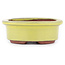 Pot à bonsaï ovale jaune par Eime Yozan - 95 x 80 x 30 mm