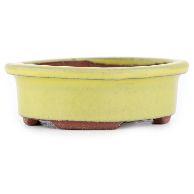 Oval yellow bonsai pot by Eime Yozan - 95 x 80 x 30 mm