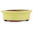 Pot à bonsaï ovale jaune par Eime Yozan - 95 x 80 x 30 mm