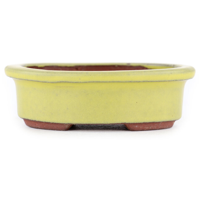 Maceta ovalada para bonsái amarilla de Eime Yozan - 95 x 80 x 30 mm