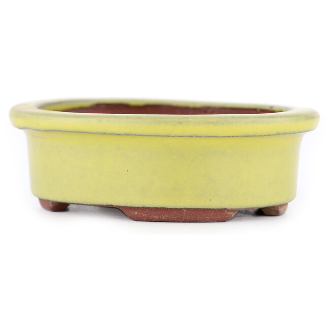 Maceta ovalada para bonsái amarilla de Eime Yozan - 95 x 80 x 30 mm