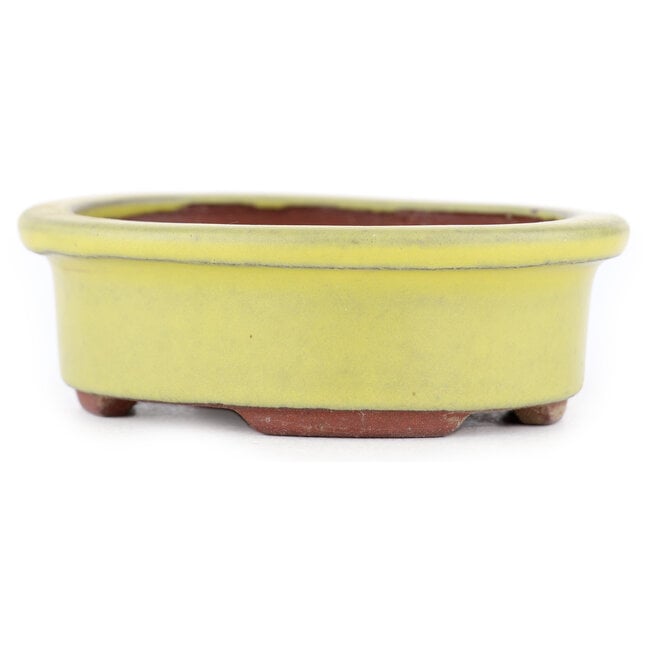 Ovaler gelber Bonsaitopf von Eime Yozan – 95 x 80 x 30 mm